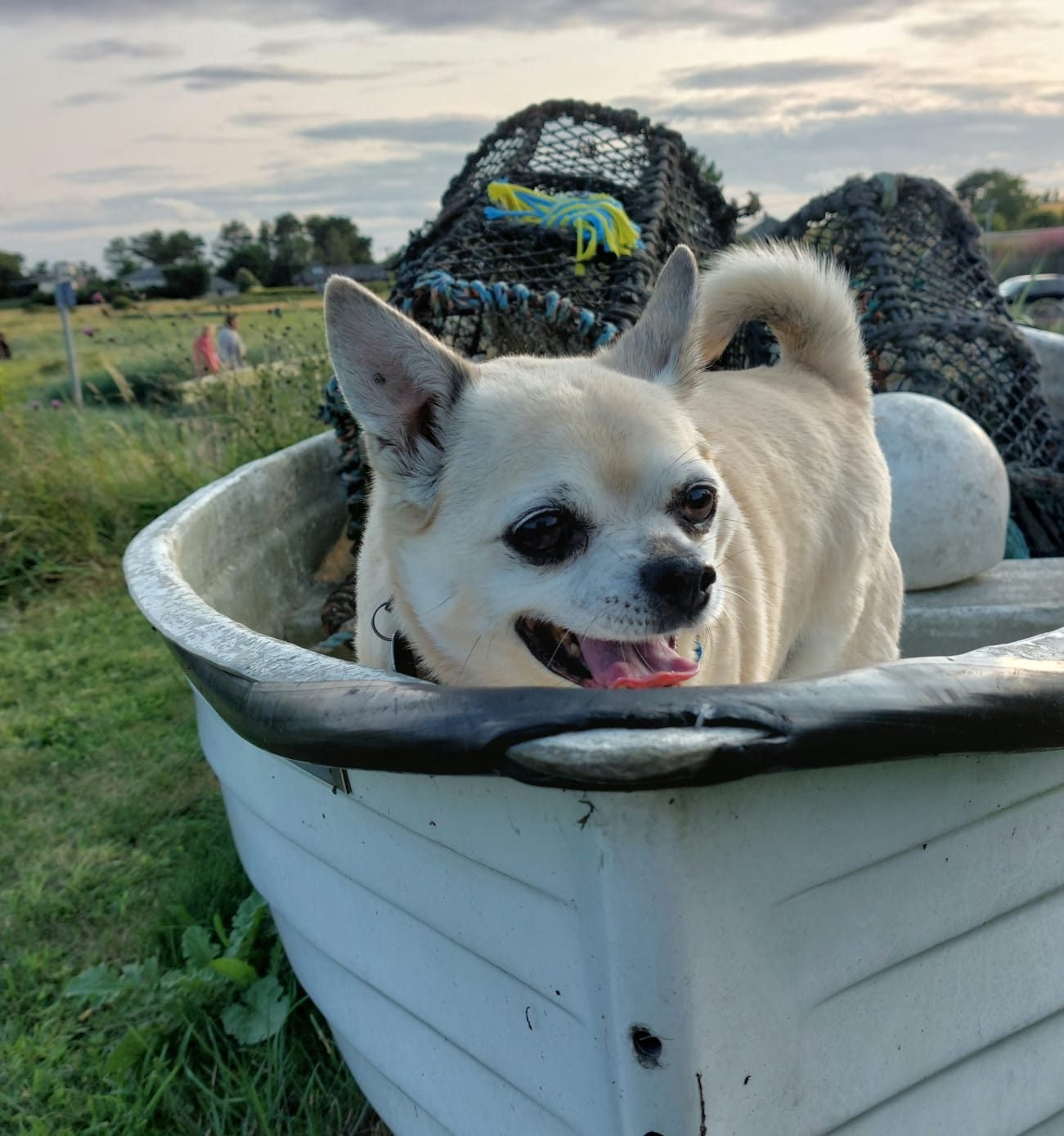Bailey smiling in a little boat